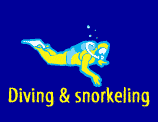 Motor Boat rental, - Diving and snorkeling - Jet ski / Water ski - Sailing trip, in saint-barthelemy