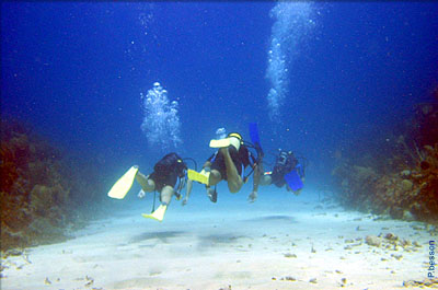 Diving in St Barths, st barts, St Barthelemy