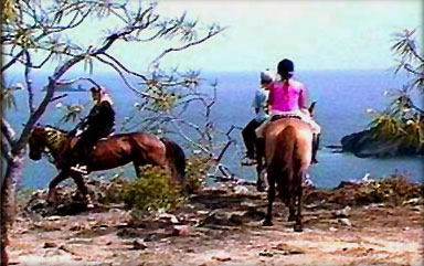 Equitation St Barths, st barts, St Barthelemy