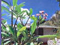 AUBERGE DE LA PETITE ANSE