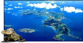 St. Barth's