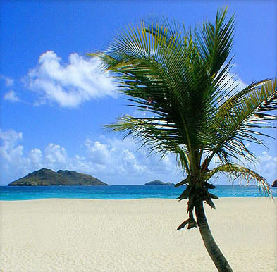 Flamand beach in St Barts, St Barths, St Barthelemy beaches of St Barts, St Barths, St Barthelemy