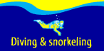 Yannis Marine:Motor Boat rental, - Diving and snorkeling - Jet ski / Water ski - Sailing trip, in saint-barthelemy